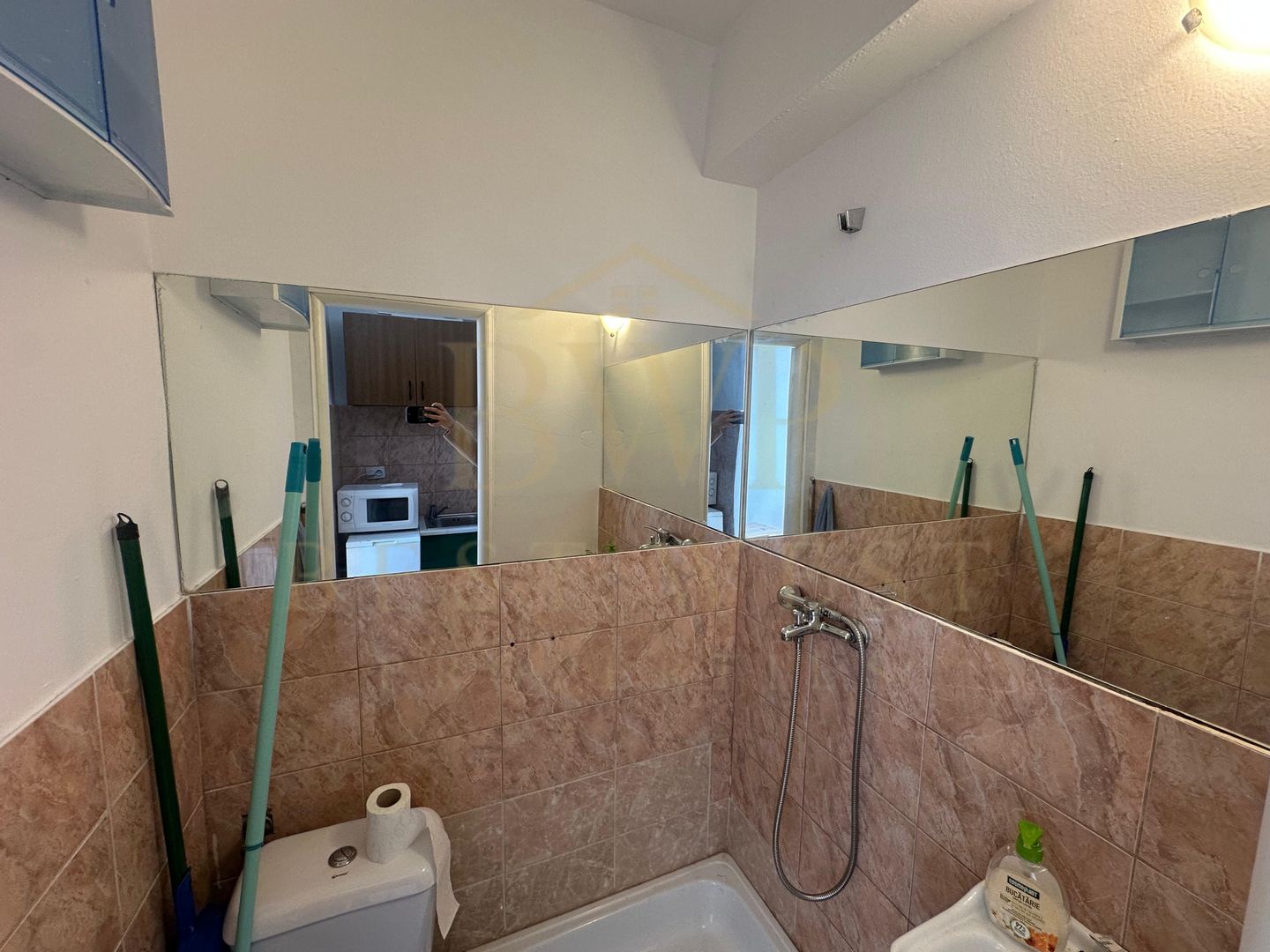 Garsoniera, Take Ionescu - Poză 6