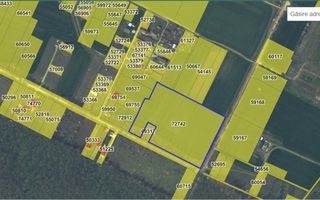 Vand teren cu suprafata de 26.000mp intravilan in Cornetu - Magurele - Poză 7