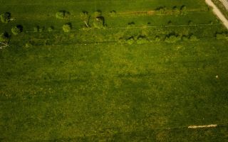 Teren intravilan, pe 2.623mp, zona de case, Rasnov, Brasov - Poză 5