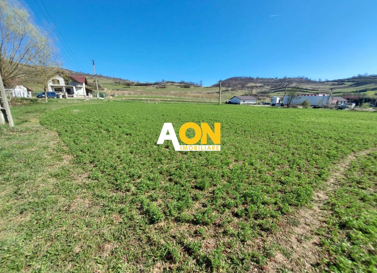 Teren de vanzare, Ampoita, 2300mp - Poză 1