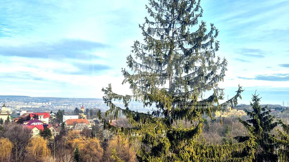 Apartament 3 camere | 120 MP | Ultracentral | Terasă + Pod | 89.000 € - Poză 21