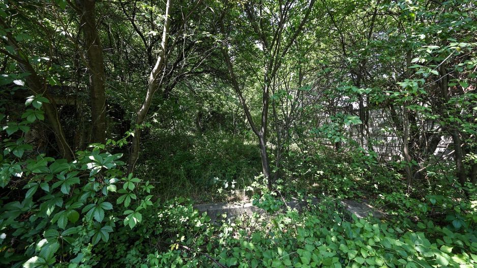 Casă spațioasă în centrul orașului Sfântu Gheorghe | Teren 1300 mp - Poză 13