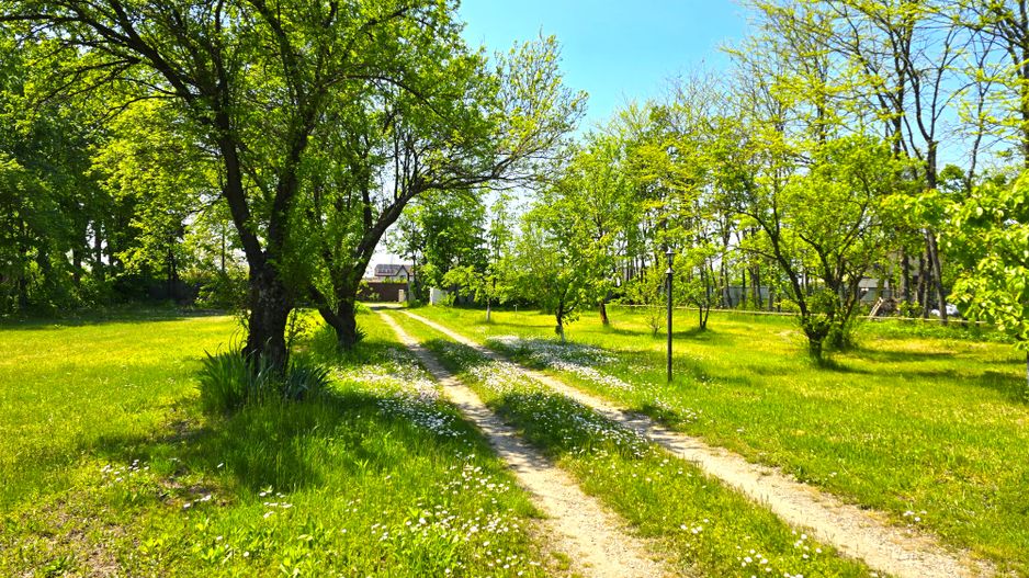 Proprietate unica, vila si 8000 mp pe malul lacului Snagov - Poză 37