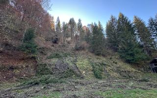 Teren 2.882 mp – oportunitate investitie - Cheile Dâmbovicioarei - Poză 2