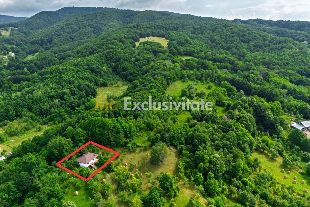 Casa moderna si casa bunicii + 6300 mp teren,Oaza autentica in Corbi Arges- - Poză 23