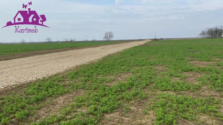 Teren industrial pentru hale - Poză 3