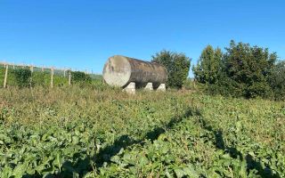 Proprietate cu casă, teren, sere și sistem de irigare – 15 min de Orhei - Poză 5