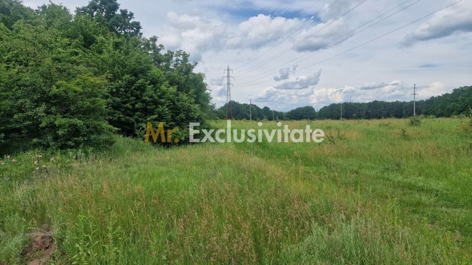 Teren extravilan Pitesti - str. Balotesi!! - Poză 9