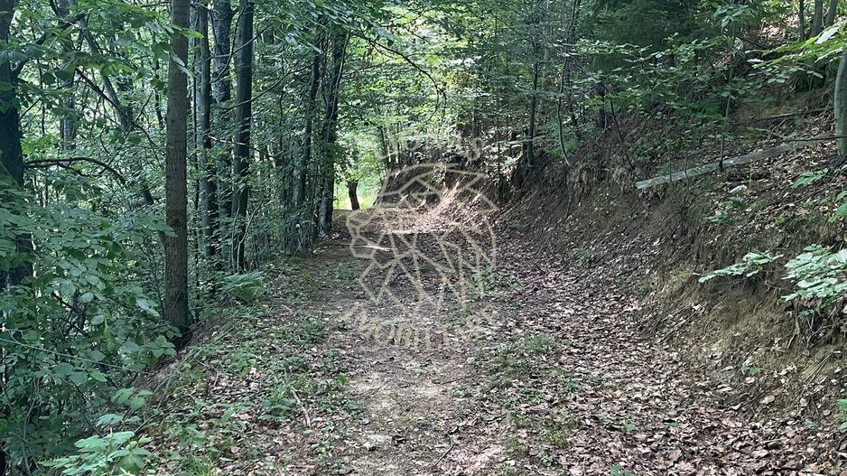 COMISION 0 20.000 MP TEREN EXTRAVILAN CU PADURE ZONA TURISTICA VISAGU VLADEASA - Poză 2