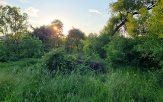 Teren Intravilan Ilisesti/Suceava - Poză 12