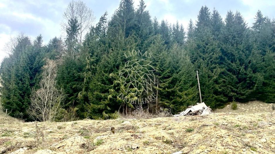 Teren intravilan 3039 mp-Parcelabil-ponton-Colibita Exclusiv - Poză 6