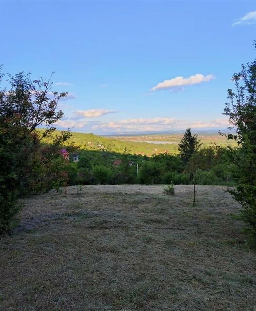 Teren Intravilan Podgoria - Poză 5