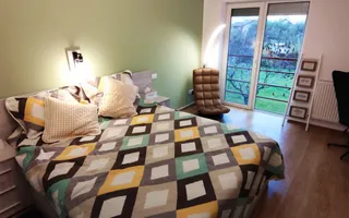 Apartament lux cu gradina proprie, Ferventia intre Lidl si padure. - Poză 11