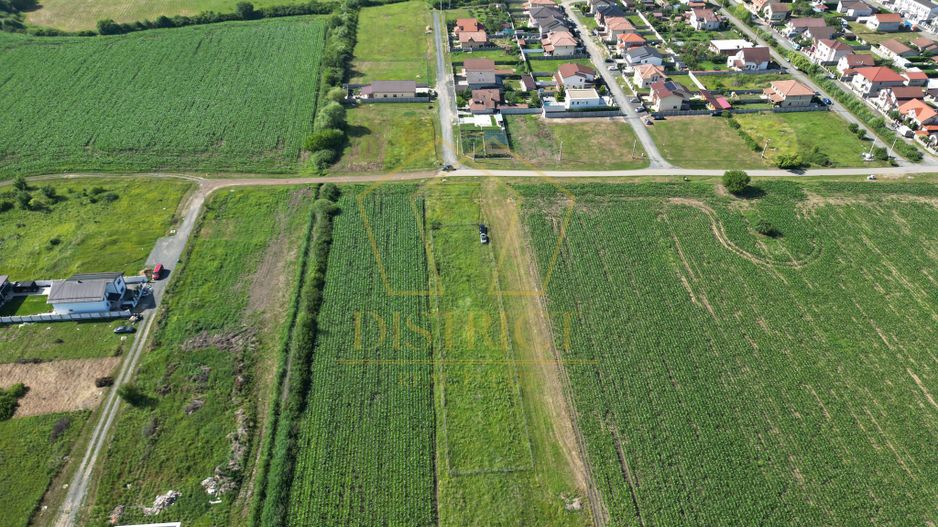 Teren intravilan pretabil pentru constructii individuale sau duplex | Ghiroda - Poză 3