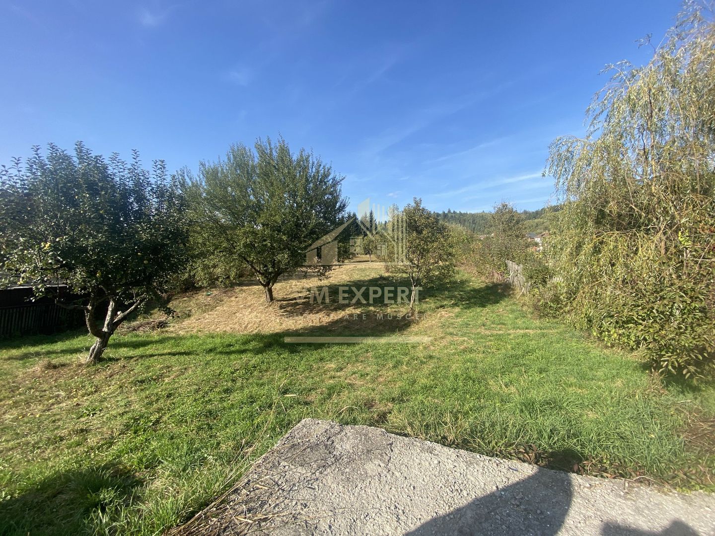 CASA DE VANZARE IN BUGHEA DE SUS CU 3000MP TEREN, PRET 55000 EURO - Poză 7