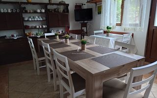 Oportunitate de Investiție: Pensiune „La Cheie” în Băile Herculane – Comision 0% - Poză 10