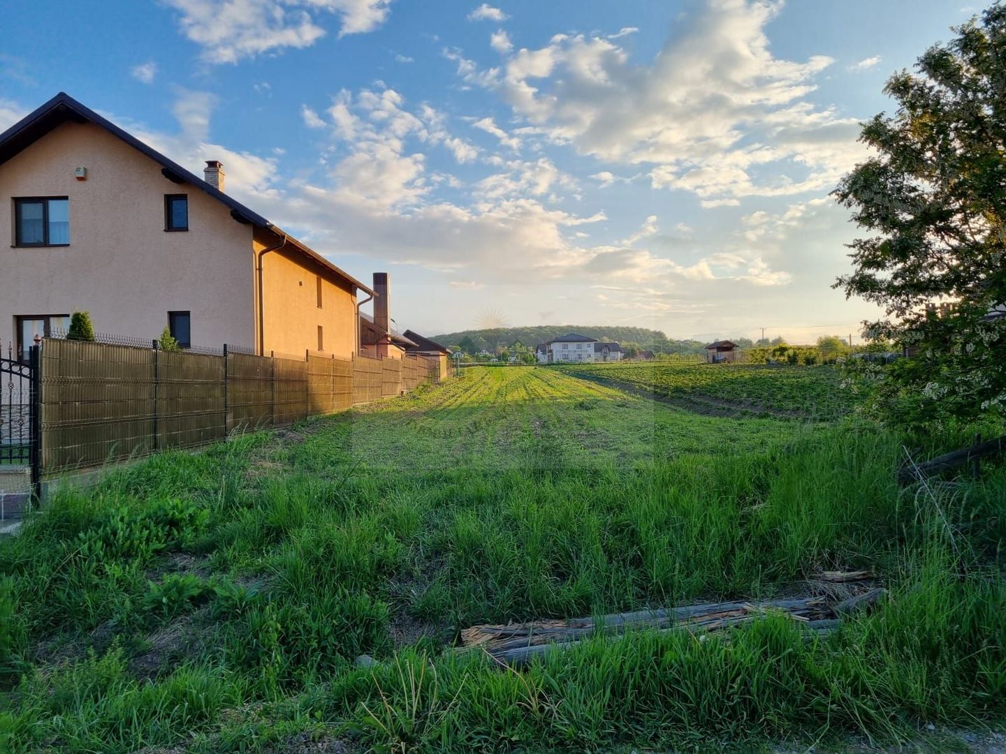 Teren intravila Ilișești - Poză 6