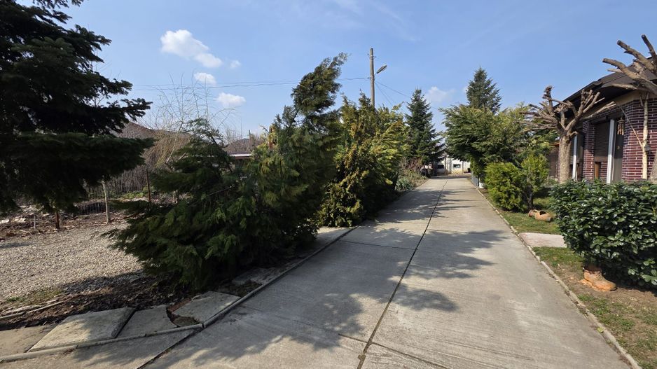 Casa cu teren 1250 m Matei Millo - Poză 8