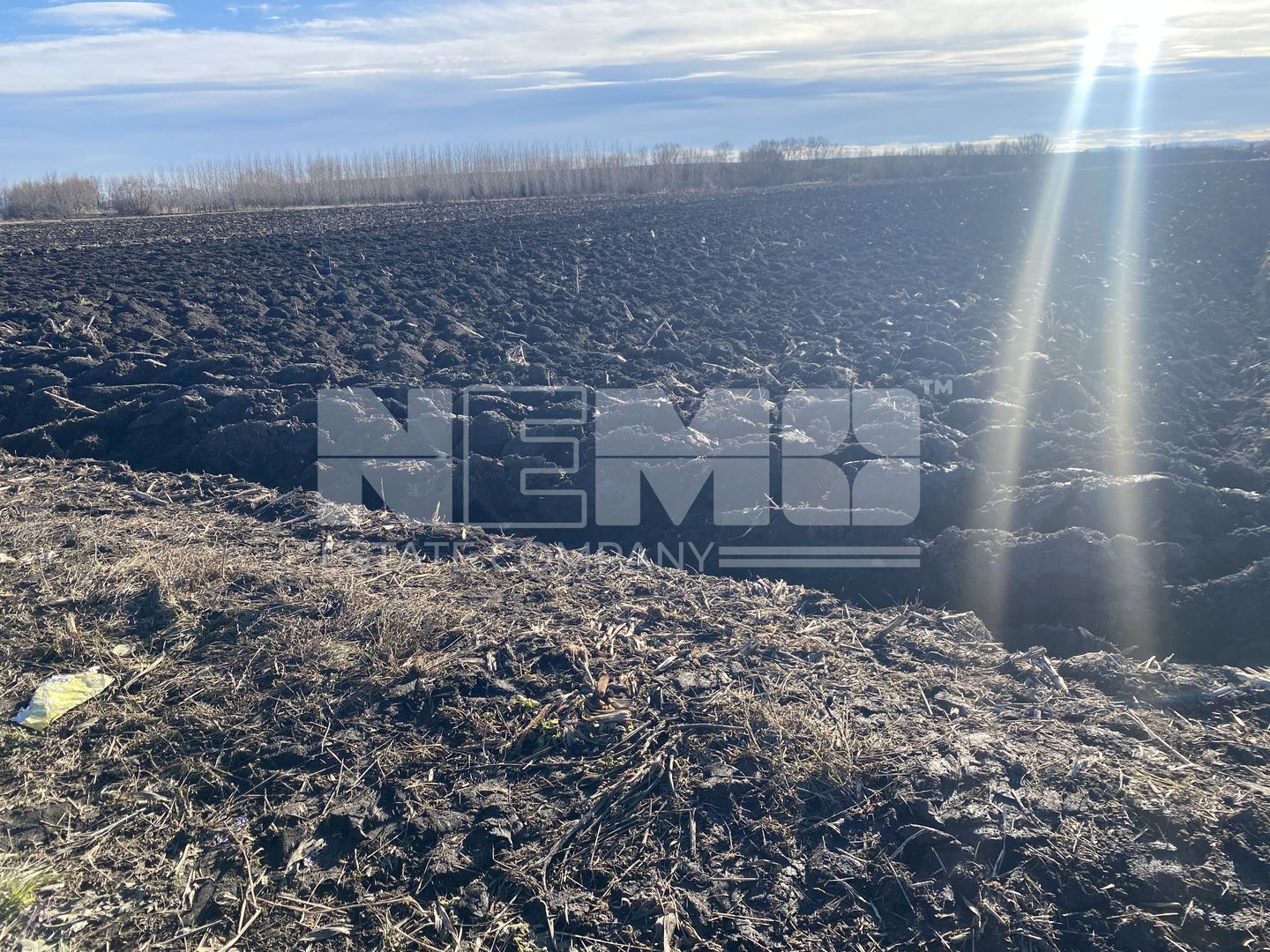 Teren extravilan | Drum Satu Mare | 42Ari - Poză 3