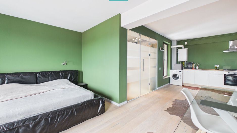 Studio luminos si spatios, Mihai Bravu - Mosilor - Poză 6