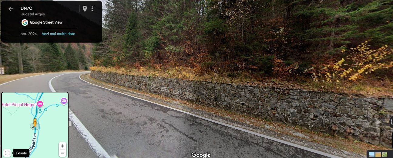 TEREN EXTRAVILAN PADURE PISCUL NEGRU ARGES - Poză 4