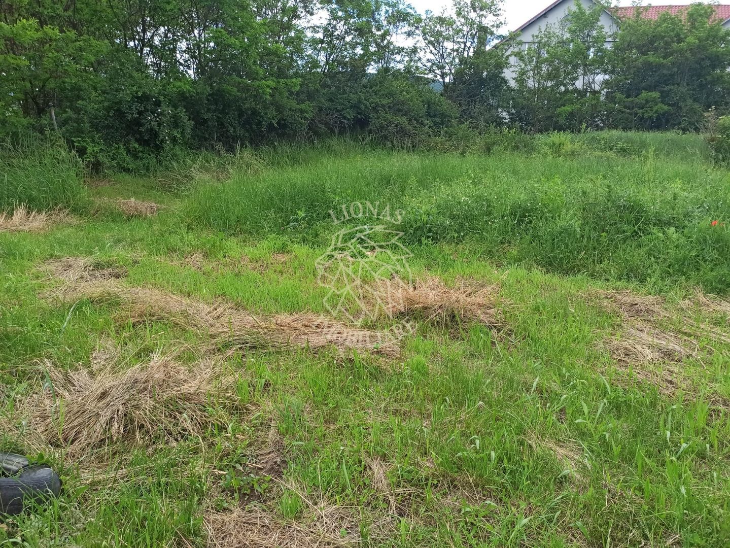 Teren intravilan la DN17 2500 mp-utilitati-Crainimat - Poză 4