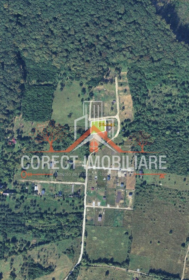 🌿 Teren de vânzare – Valea Budacului - Poză 1