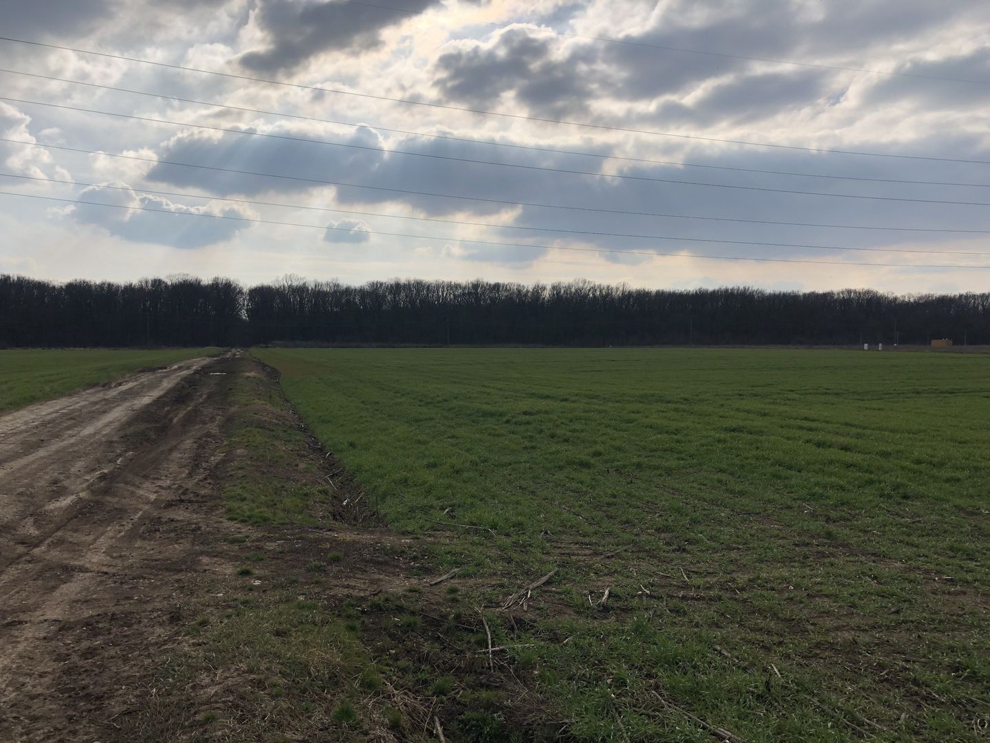 TEREN DUMBRAVITA -ZONA LAC - Poză 2