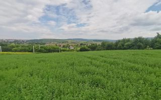 Teren de vânzare în Cartierul Chihan, Lunca Cetățuii – 500 mp - Poză 1