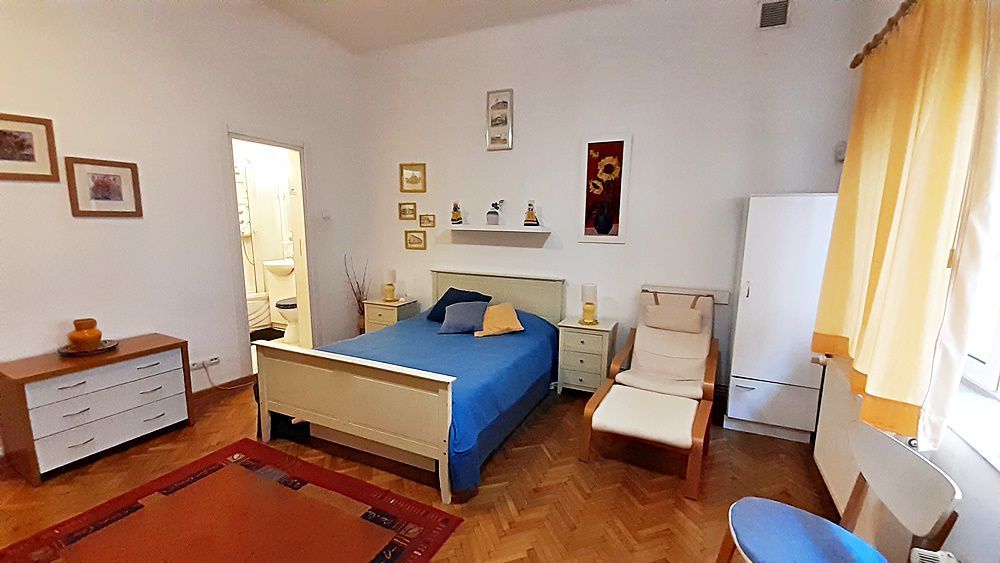 Garsoniera in Centrul Istoric langa Piata Sfatului 250 euro - Poză 2