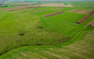 Teren agricol 5ha Giarmata langa Antena Radar - Poză 3
