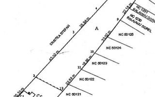Teren Magurele 812mp - Poză 3