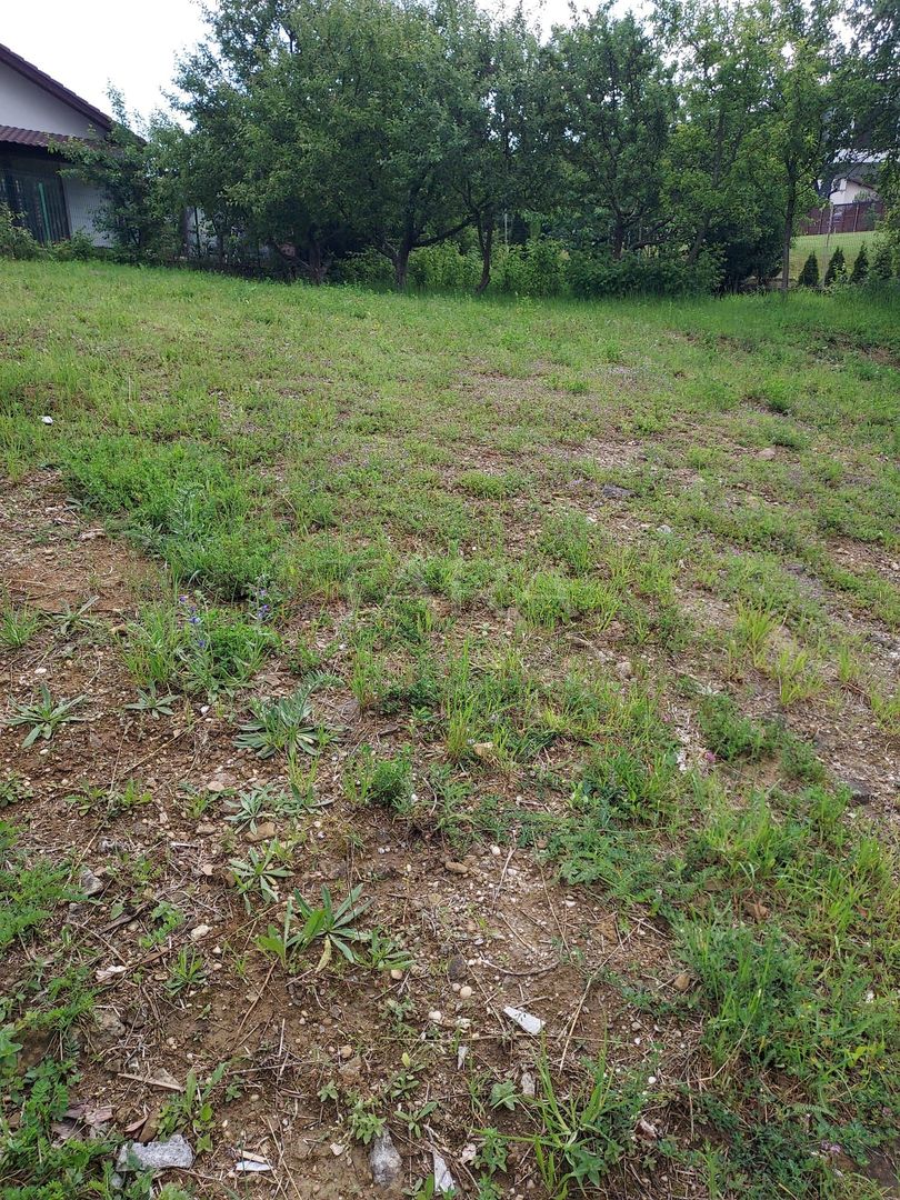 Teren de vis în Faget: Oportunitate unică pentru construirea casei tale ideale. - Poză 5