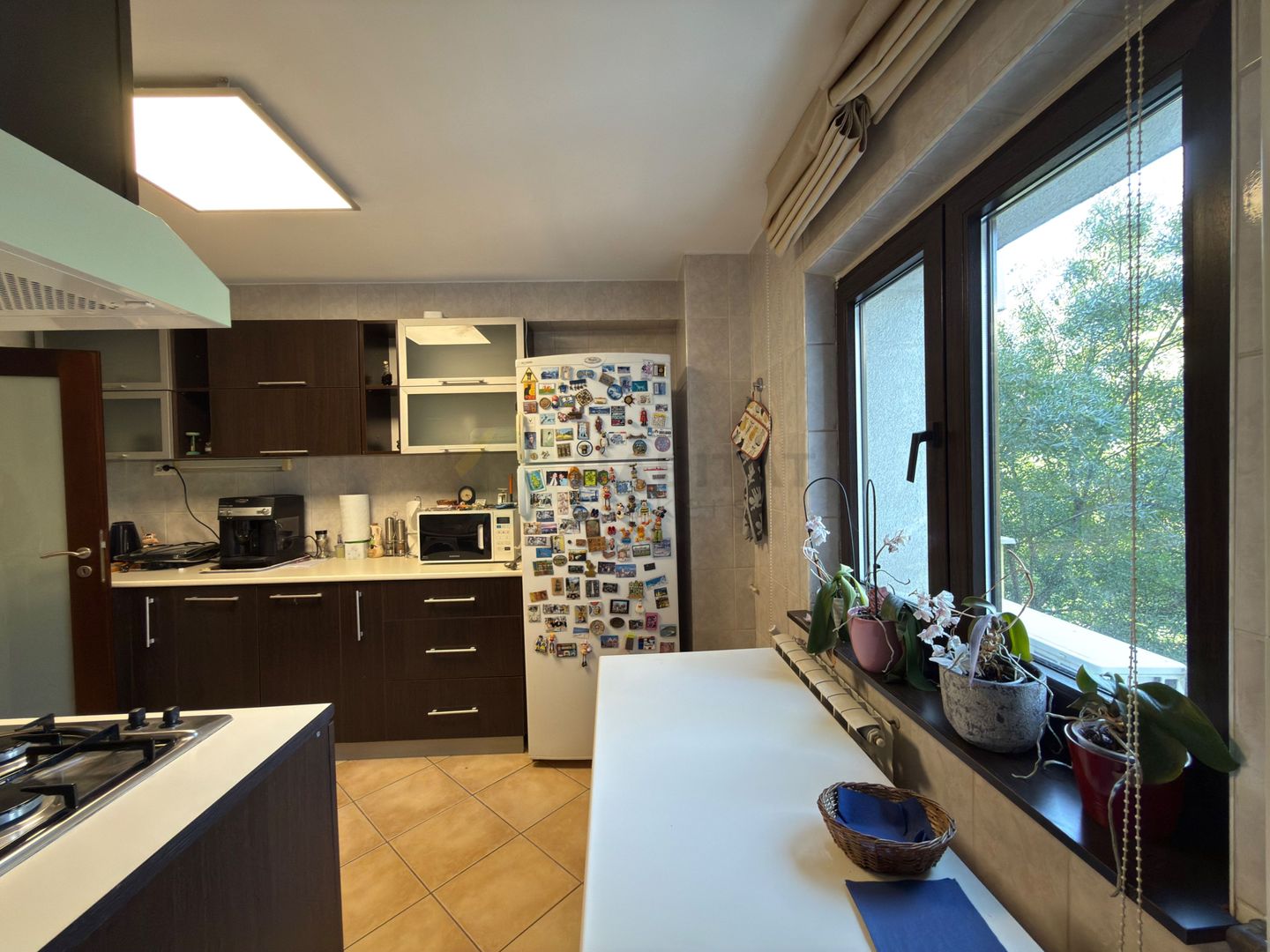 Apartament 4 camere Aviatiei - Poză 3