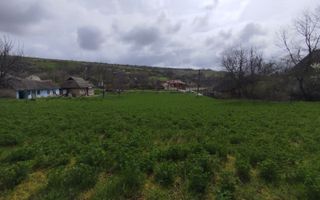 Teren pentru construcții/prima linie – 17,5 ari, Botnăreștii Vechi, Raionul Anenii Noi - Poză 12