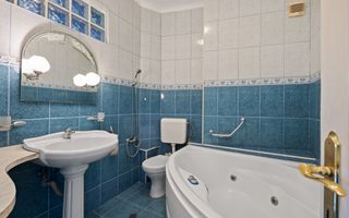 Vila 432mp Calea Calarasi - Rezidential - Comercial - Poză 21