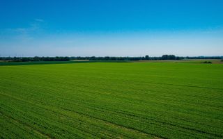 Vanzare Teren Extravilan Arabil, Pășune Chesint, Zabrani Arad, 48.86ha - Poză 2