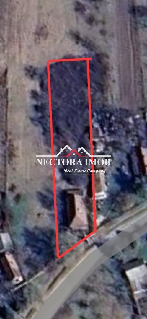 NECTORA IMOB-Casa 70 mp cu teren 951 mp, front 16 mp, Paleu Centru - Poză 2