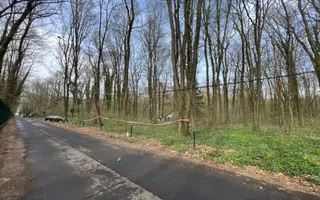 192842 mp teren in Padurea Baneasa proiect exclusivist - Poză 11