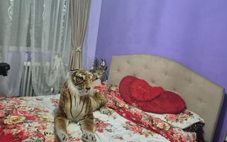 COMISION 0 | Apartament 3 Camere | Et. 2 | Izolat | Centrala | Sagului - Poză 7