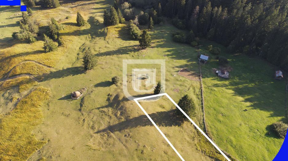 Teren situat in Frasin | BUCOVINA - Poză 5