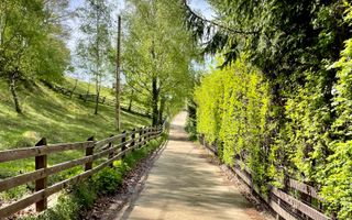 Teren in sat Pestera, comuna Moeciu. - Poză 10