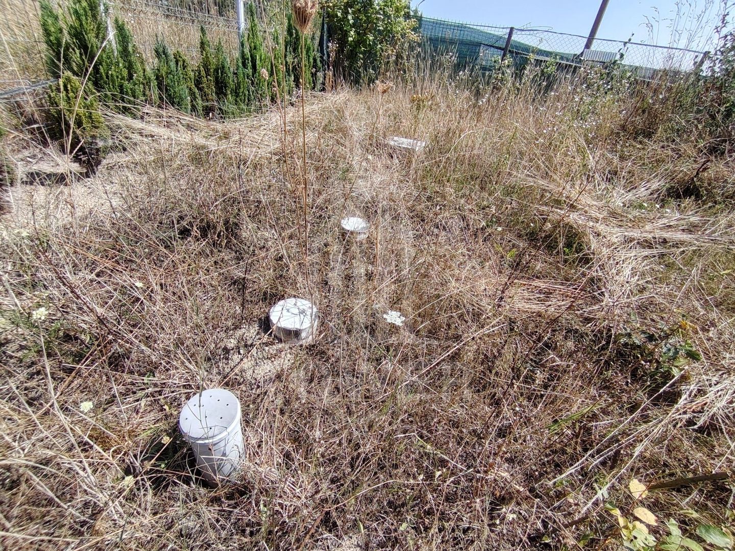 TEREN INTRAVILAN DE VÂNZARE – VALEA AVRIGULUI | 1.913 MP - Poză 12