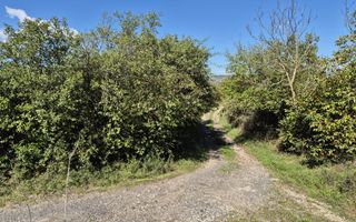 Teren intravilan în zona Lătureni – Buituri, în spatele casei nr. 100! - Poză 9