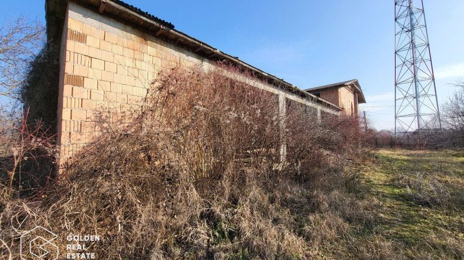 Casa la rosu, teren 7105 mp, Lipova - Poză 4