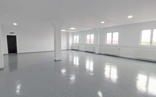 Inchiriere Spații de Birouri/Producție - Str. Uzinei - Carei - Comision 0% - Poză 2