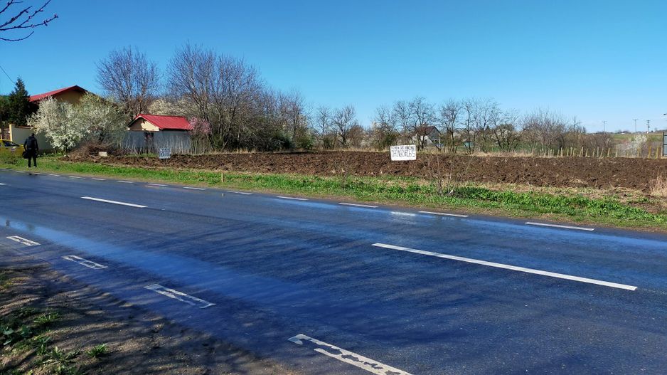 Teren de vânzare în Dascalu, judet Bucuresti Ilfov - Poză 4