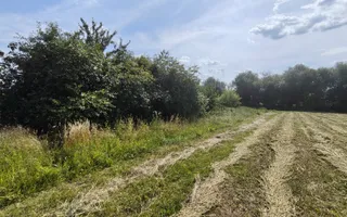 Teren de 11.000 mp cu casă și teren agricol | La 40 km de București | - Poză 15