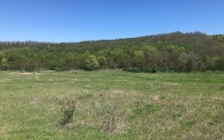Spre vânzare , teren agricol, 15 ari, com. Bulboaca, Aneni Noi - Poză 3