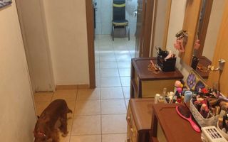 Apartament 3 camere zona Parc IOR - Camil Ressu - Poză 3